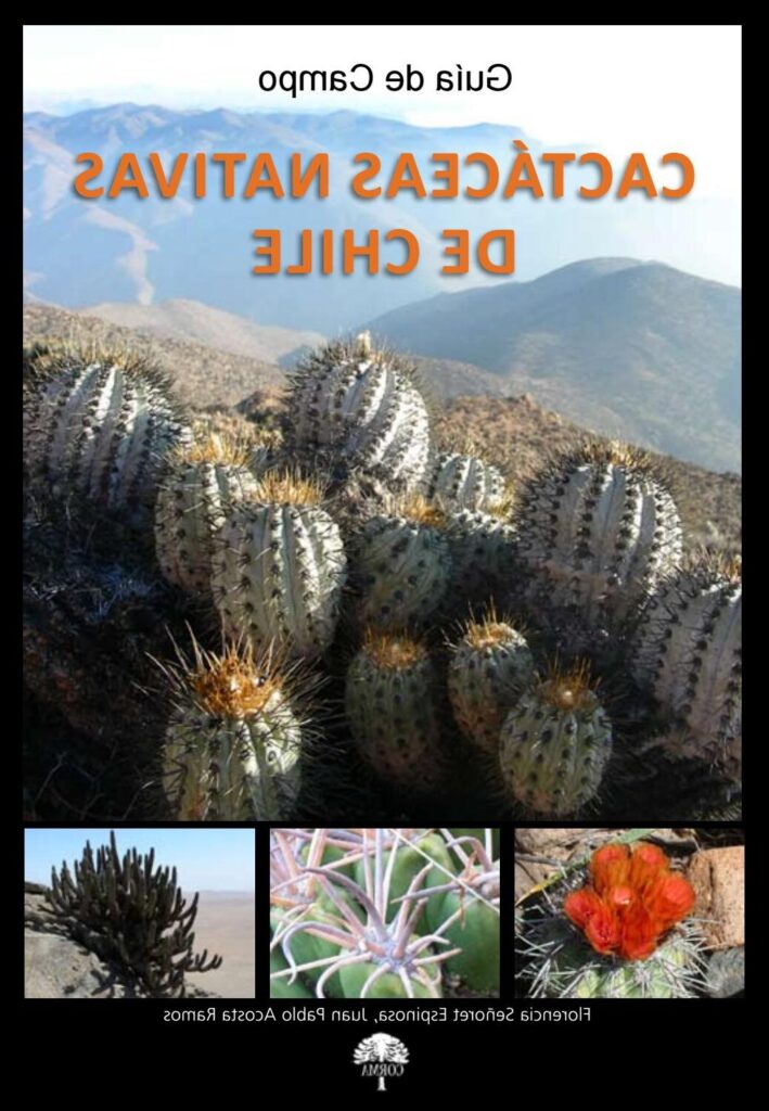 corryocactus guia completa